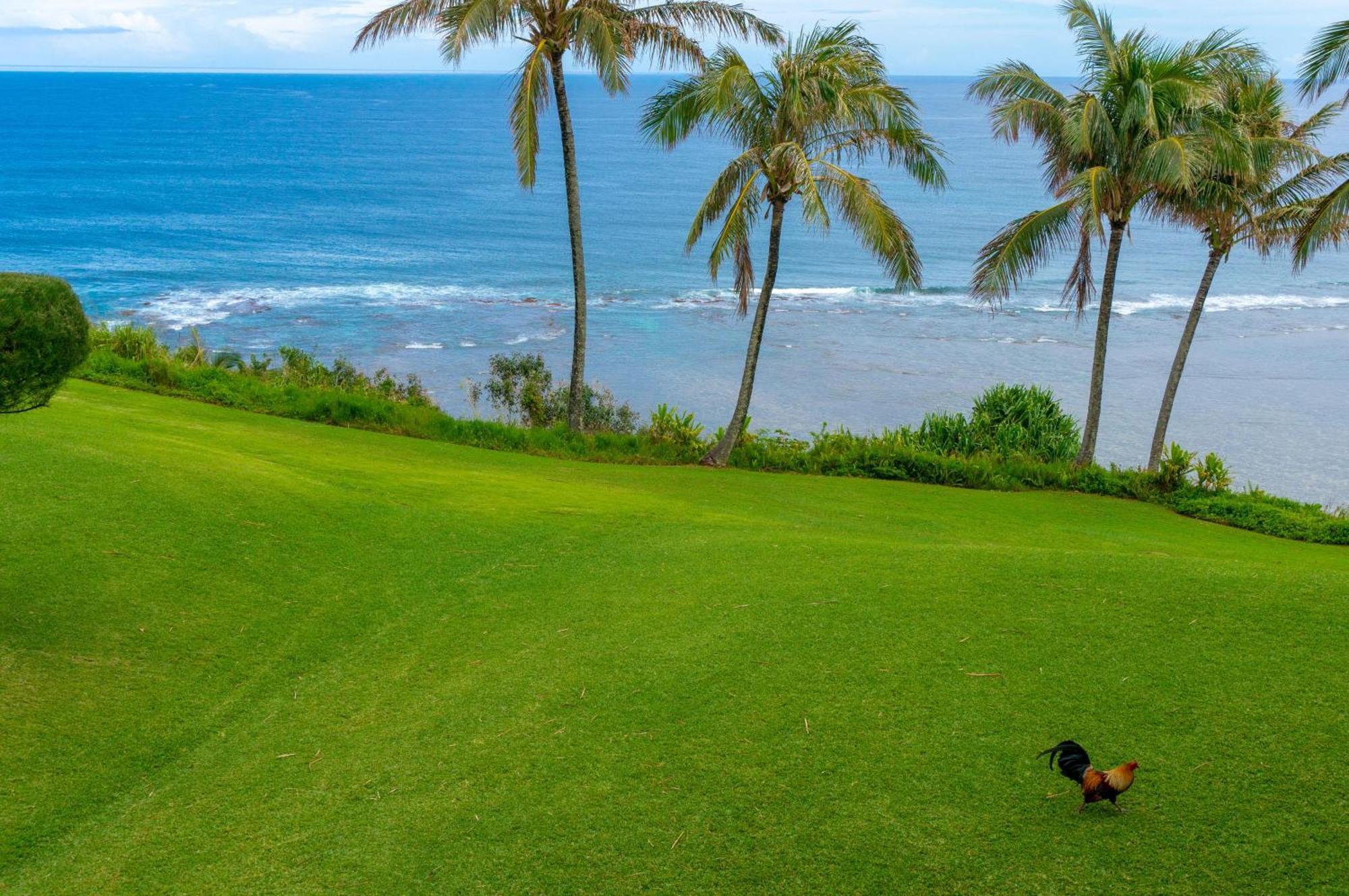 Sealodge J9 Princeville Exterior foto